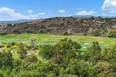 Million-Dollar Forever Views! Spectacular panoramic golf course - photo 20