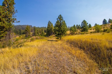 35.62 acres of rural Idaho beauty just short distance from - photo 21