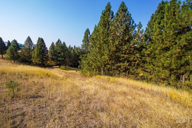 35.62 acres of rural Idaho beauty just short distance from - photo 22