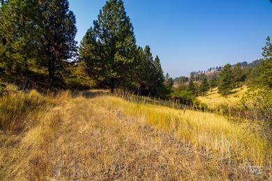35.62 acres of rural Idaho beauty just short distance from - photo 23