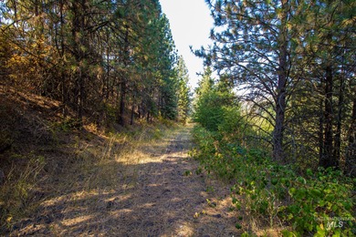 35.62 acres of rural Idaho beauty just short distance from - photo 24