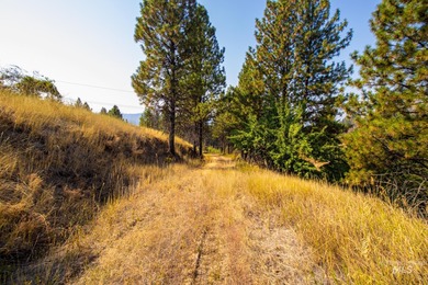 35.62 acres of rural Idaho beauty just short distance from - photo 25