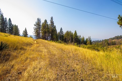 35.62 acres of rural Idaho beauty just short distance from - photo 27