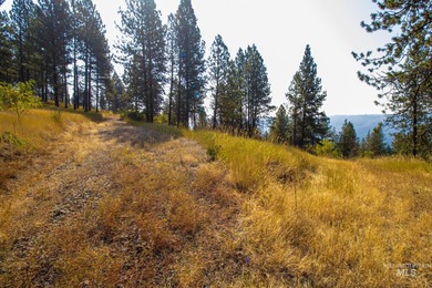 35.62 acres of rural Idaho beauty just short distance from - photo 28