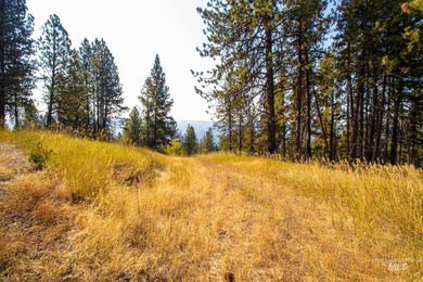 35.62 acres of rural Idaho beauty just short distance from - photo 29