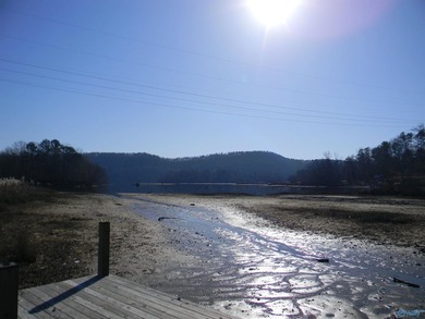 Deeded Waterfront RV Lot with Power, Water & Stunning Mountain - photo 9