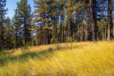 35.62 acres of rural Idaho beauty just short distance from - photo 30