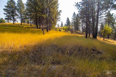 35.62 acres of rural Idaho beauty just short distance from - photo 31