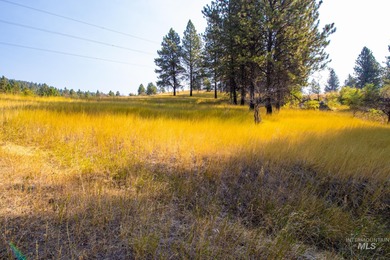 35.62 acres of rural Idaho beauty just short distance from - photo 32