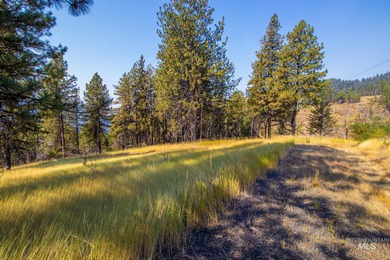 35.62 acres of rural Idaho beauty just short distance from - photo 33