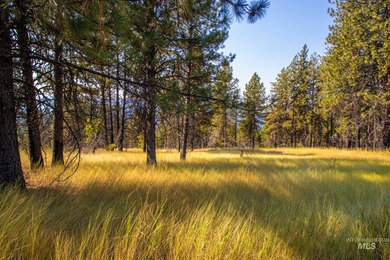 35.62 acres of rural Idaho beauty just short distance from - photo 34