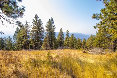35.62 acres of rural Idaho beauty just short distance from - photo 36
