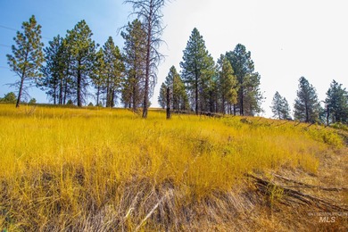 35.62 acres of rural Idaho beauty just short distance from - photo 37