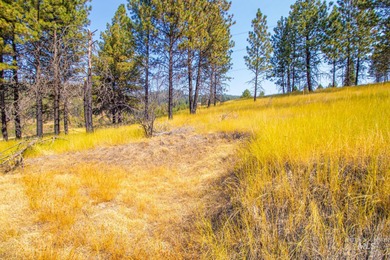 35.62 acres of rural Idaho beauty just short distance from - photo 38