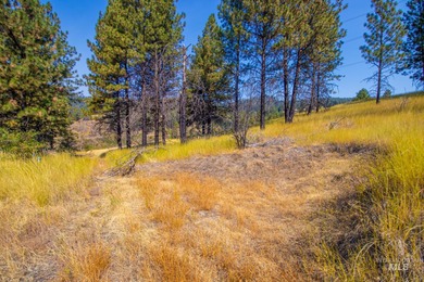 35.62 acres of rural Idaho beauty just short distance from - photo 39