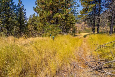 35.62 acres of rural Idaho beauty just short distance from - photo 40