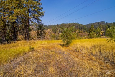 35.62 acres of rural Idaho beauty just short distance from - photo 43
