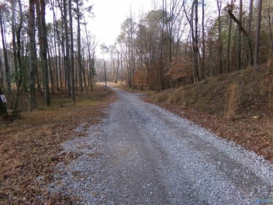 Deeded Waterfront RV Lot with Power, Water & Stunning Mountain - photo 3