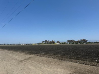 Martella Home Farm is a 20% Partnership Investment Opportunity - photo 5