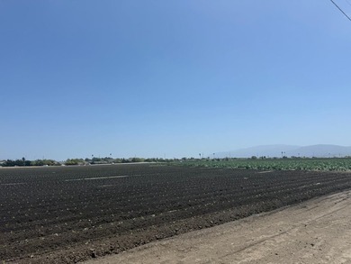 Martella Home Farm is a 20% Partnership Investment Opportunity - photo 6