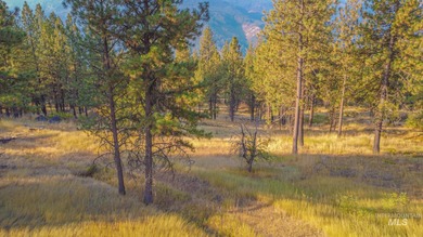 35.62 acres of rural Idaho beauty just short distance from - photo 47