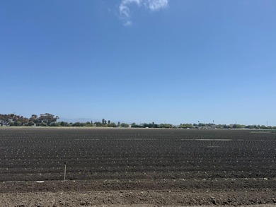 Martella Home Farm is a 20% Partnership Investment Opportunity - photo 7