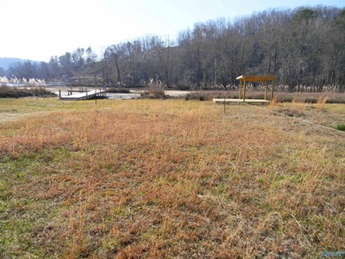 Deeded Waterfront RV Lot with Power, Water & Stunning Mountain - photo 7