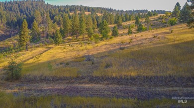 35.62 acres of rural Idaho beauty just short distance from - photo 48