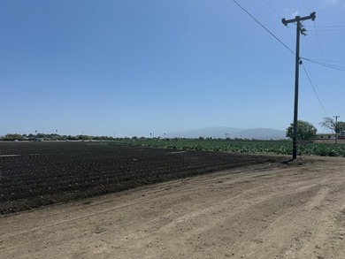 Martella Home Farm is a 20% Partnership Investment Opportunity - photo 8