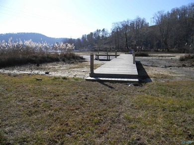 Deeded Waterfront RV Lot with Power, Water & Stunning Mountain - photo 8
