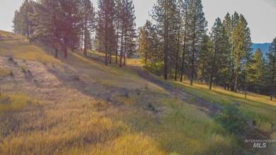 35.62 acres of rural Idaho beauty just short distance from - photo 49