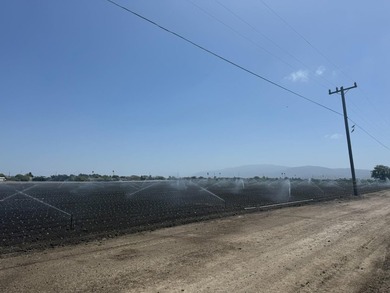Martella Home Farm is a 20% Partnership Investment Opportunity - photo 9