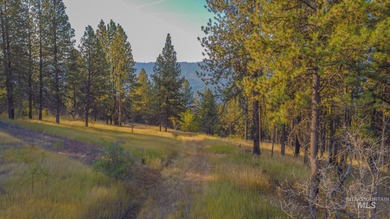35.62 acres of rural Idaho beauty just short distance from - photo 50