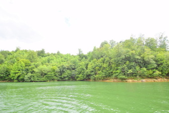 2 Lots on Cullman Side of Smith Lake, Almost 4 Acr - Lake Acreage For Sale in Bremen, Alabama