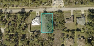 Lehigh Acres Area Lot Sale Pending in Lehigh Acres Florida