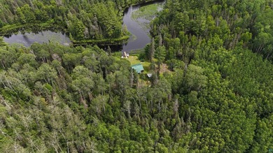 Looking for privacy, look no further. This 40-acre boat/ATV - photo 12