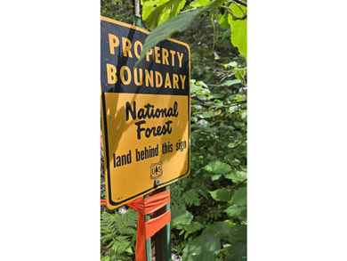 Looking for privacy, look no further. This 40-acre boat/ATV - photo 13