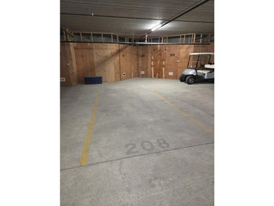 Welcome to Unit #208, a corner lakefront condo in the Brooklyn - photo 20