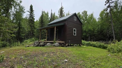 Looking for privacy, look no further. This 40-acre boat/ATV - photo 32