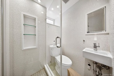 Stunning luxury one-family home in the heart of Flushing! - photo 34