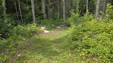 Looking for privacy, look no further. This 40-acre boat/ATV - photo 39