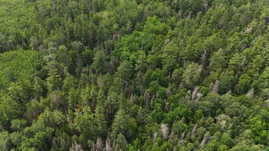 Looking for privacy, look no further. This 40-acre boat/ATV - photo 43