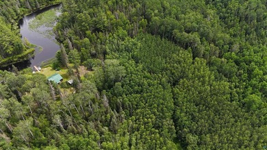 Looking for privacy, look no further. This 40-acre boat/ATV - photo 44
