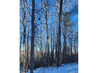 Lake Glenville Acreage For Sale in Cullowhee North Carolina