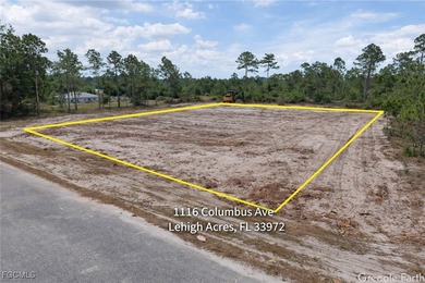 Lehigh Acres Area Lot For Sale in Lehigh Acres Florida