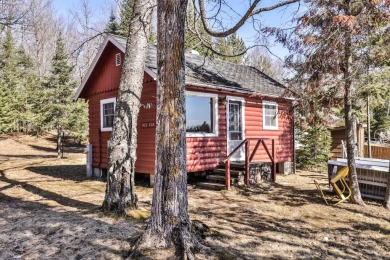 Turnkey Opportunity is waiting for you! Cute and cozy Cabin is - Lake Condo For Sale in Land O Lakes, Wisconsin