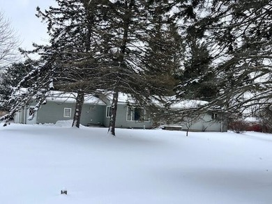Portage Lake - Manistee County Home Sale Pending in Onekama Michigan