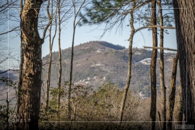 Lake Home For Sale in Sapphire, North Carolina