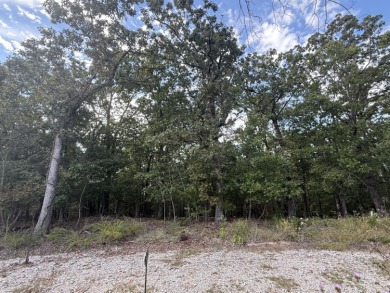 Lake Lot For Sale in Blue Eye, Missouri