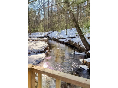 (private lake, pond, creek) Home For Sale in Chase Michigan